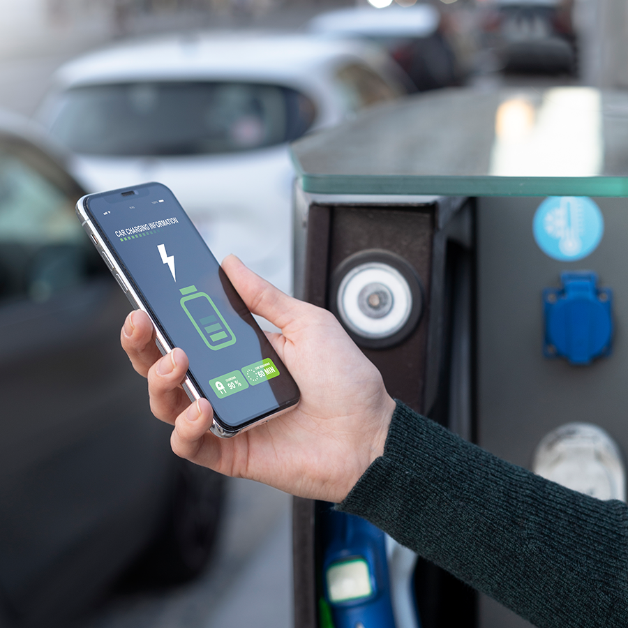 Transplanting Seedlings